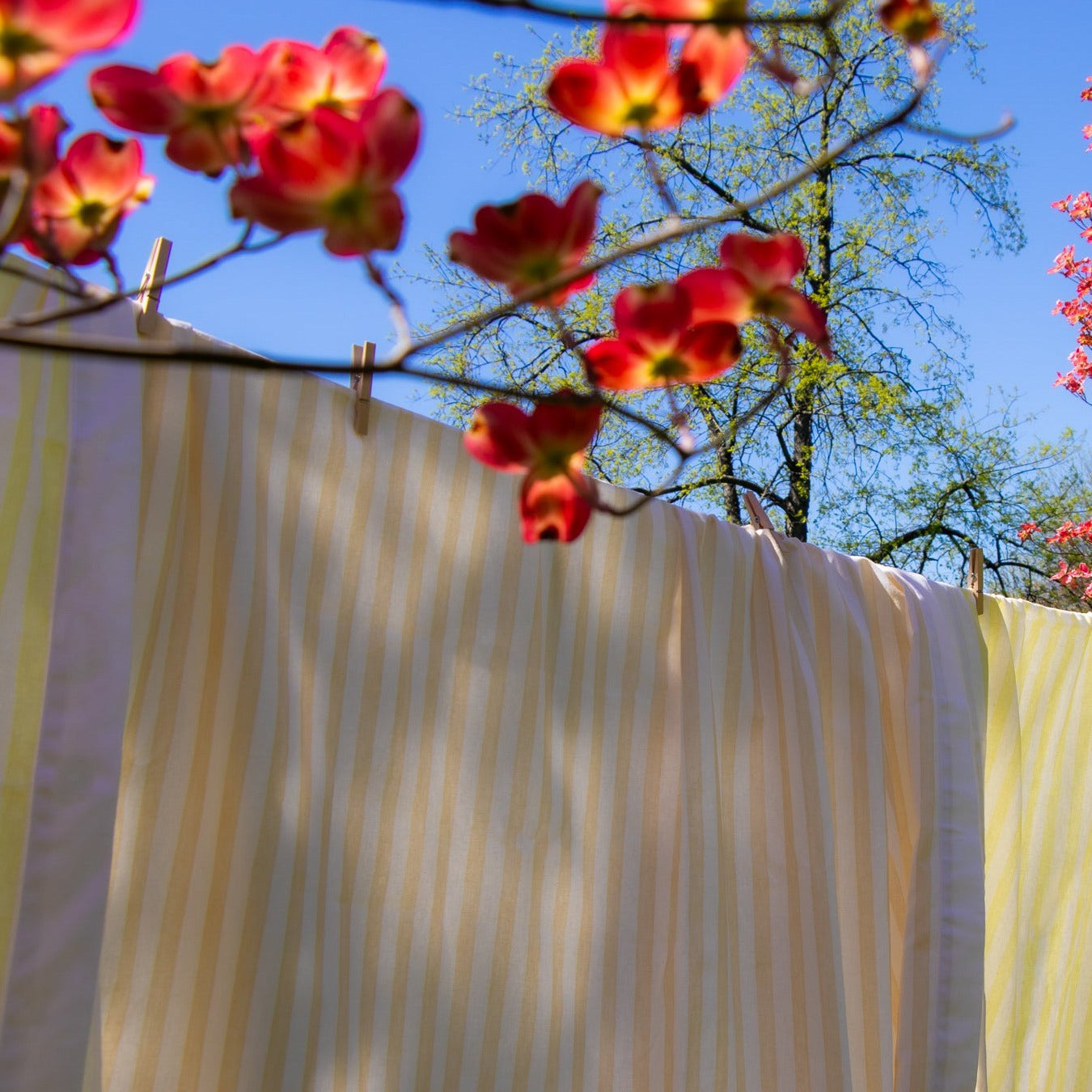 Nappe en coton et lin à rayures sorbet litchi jaune et blanc
