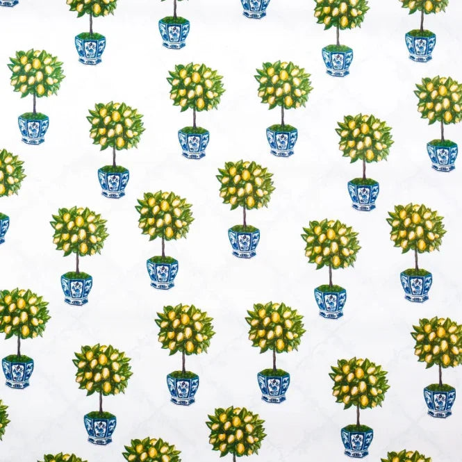 Topiaire de citron réversible avec emballage cadeau en treillis