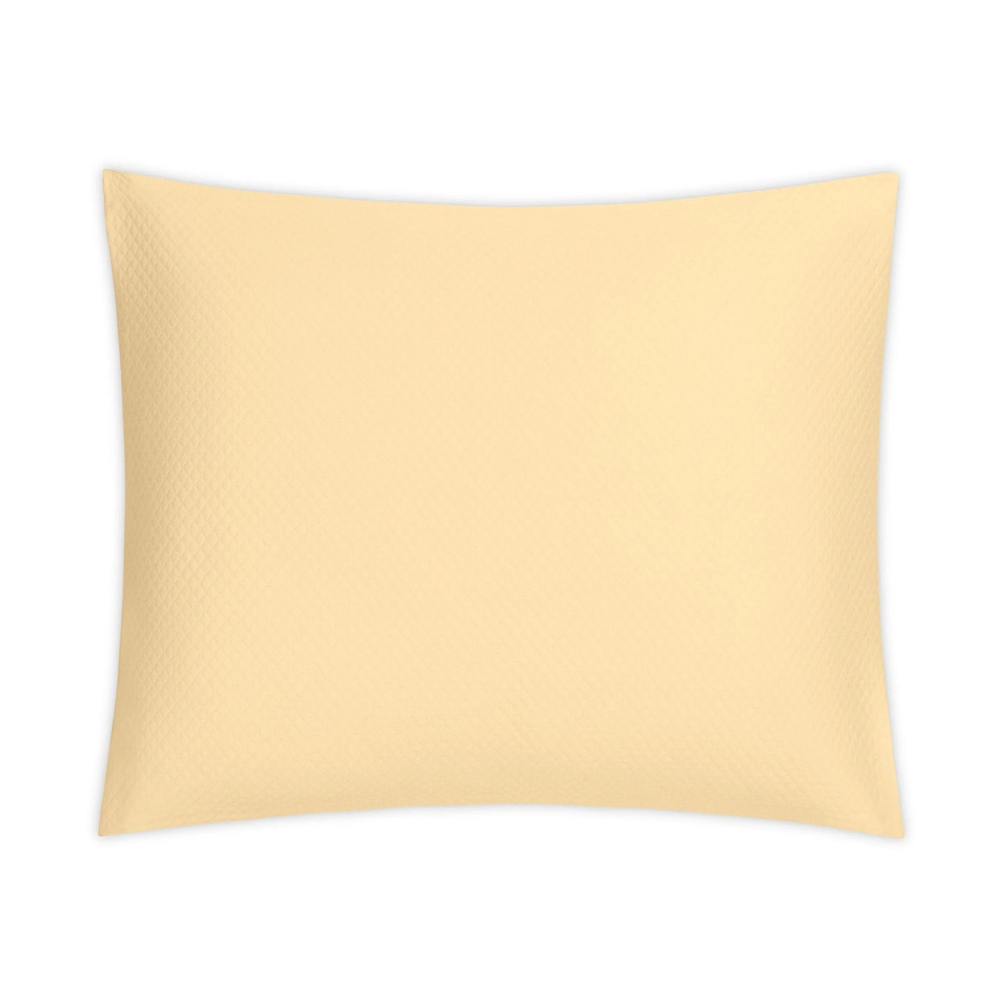 Sierra Swatch