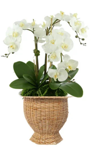 Jardinière hexagonale profonde en osier naturel
