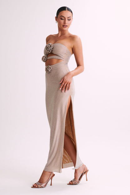 Stassie Robe Maxi Rose Diamante Sans Bretelles - Nude