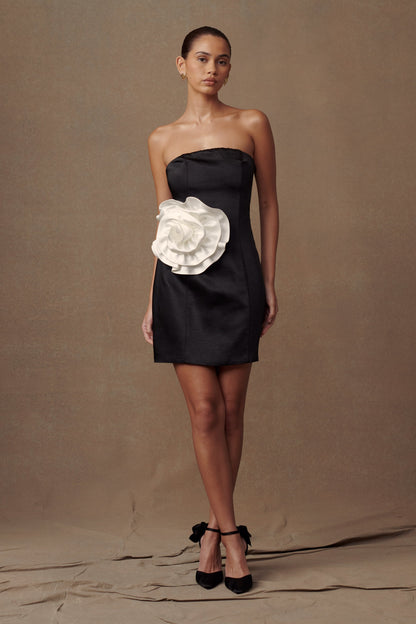 Mini-robe rose sans bretelles Bernadette - Noir