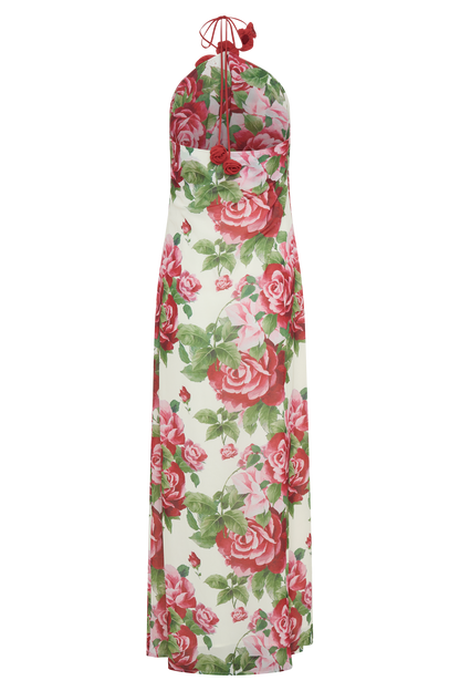 Robe Maxi Col Chandail Rosalia - Imprimé Rose Sonia