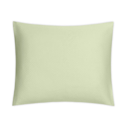 Sierra Swatch