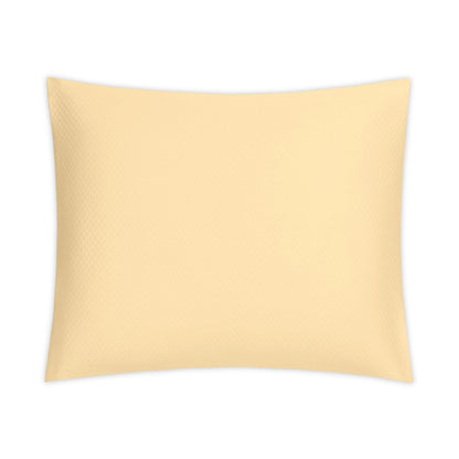 Sierra Swatch